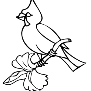 Cardinal coloring pages printable for free download