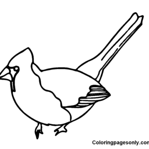 Cardinal coloring pages printable for free download