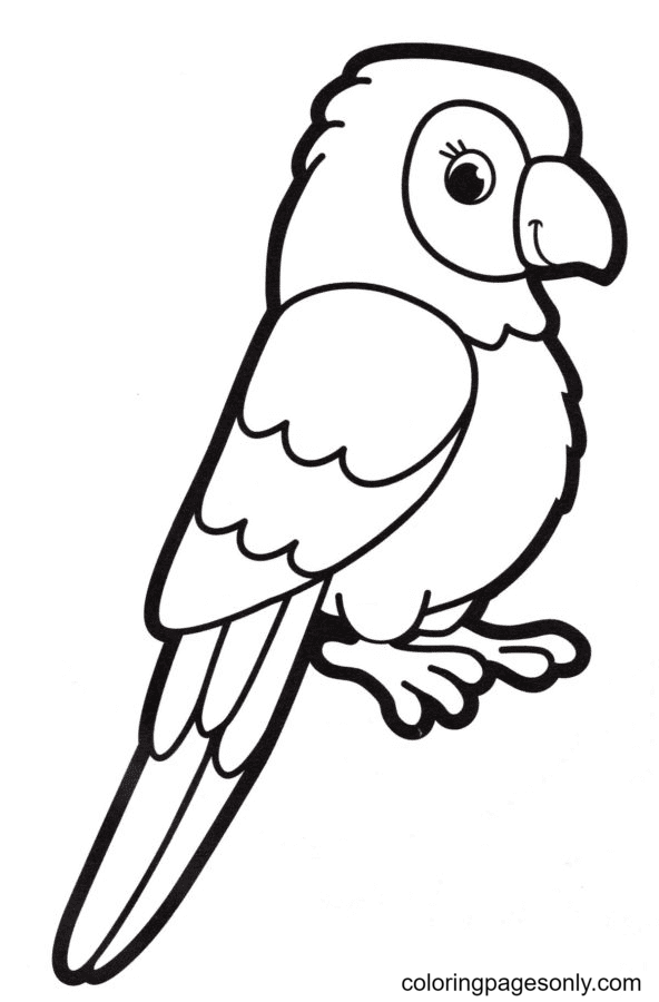 Parrot coloring pages printable for free download
