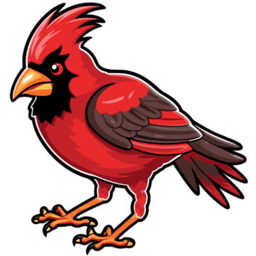 Arizona cardinal png vector psd and clipart with transparent background for free download