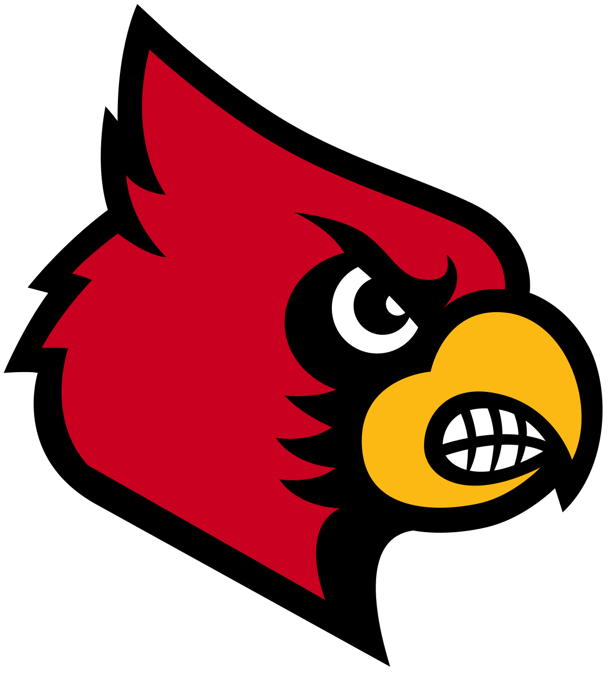 Louisville cardinals