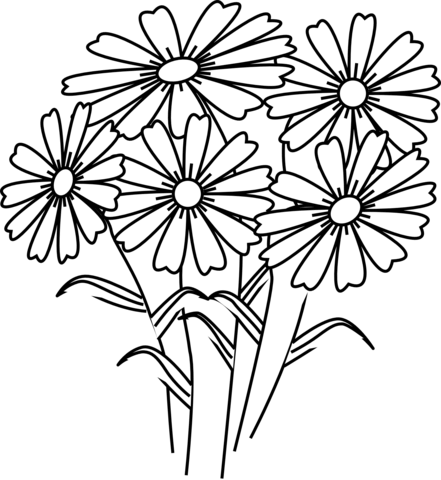 Chamomile flowers coloring page free printable coloring pages