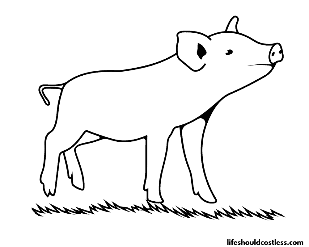 Pig coloring pages free printable pdf templates