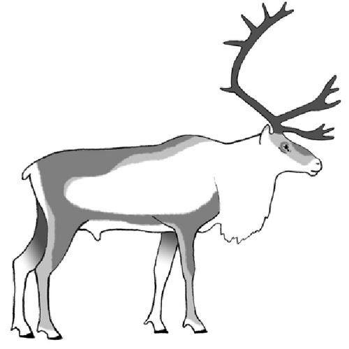 Alaskan giant caribou ultra