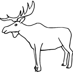 Moose coloring pages printable for free download