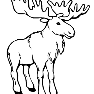 Moose coloring pages printable for free download