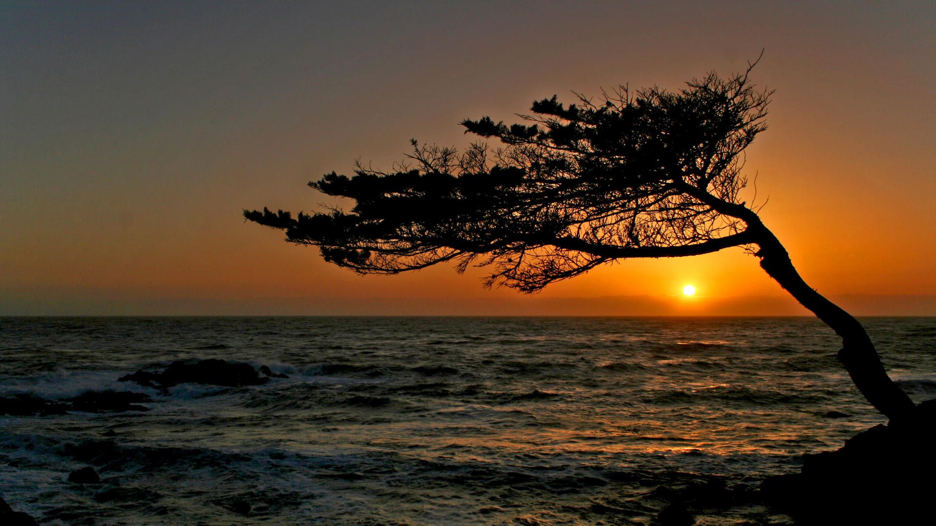 Carmel sunset sunset california wallpaper nature photography