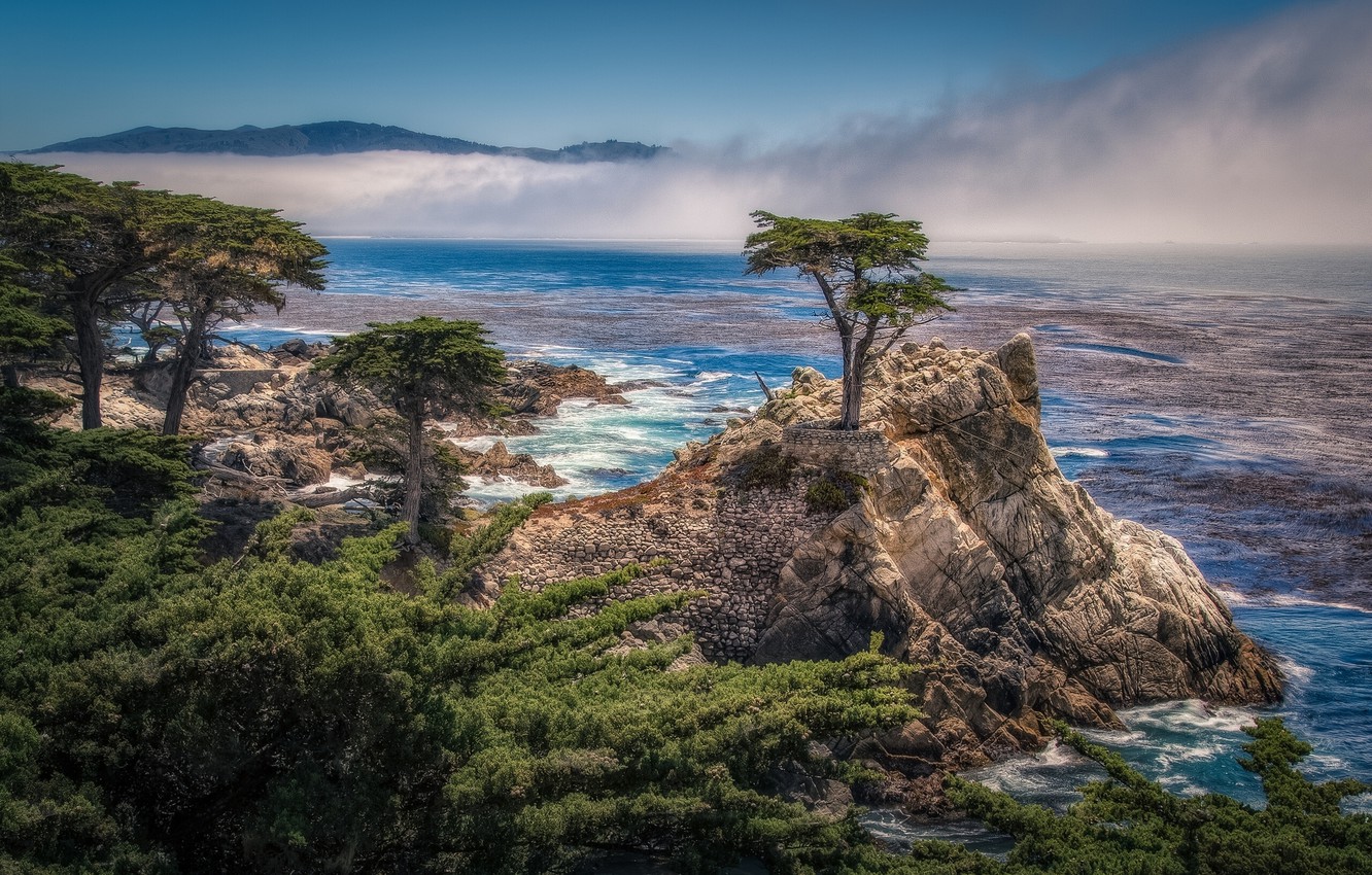 Wallpaper trees rock coast ca bay california cypress pebble beach the lone cypress the lone cypress