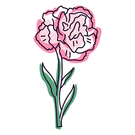 Carnation flower color stroke png svg design for t