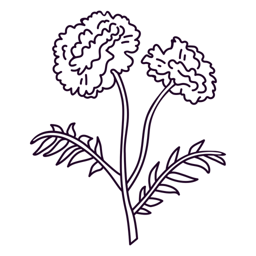 Carnation flowers stroke png svg design for t