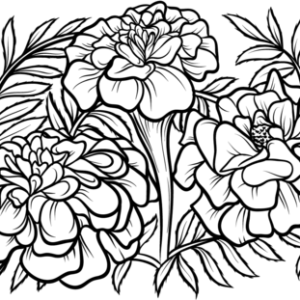 Marigolds coloring pages printable for free download