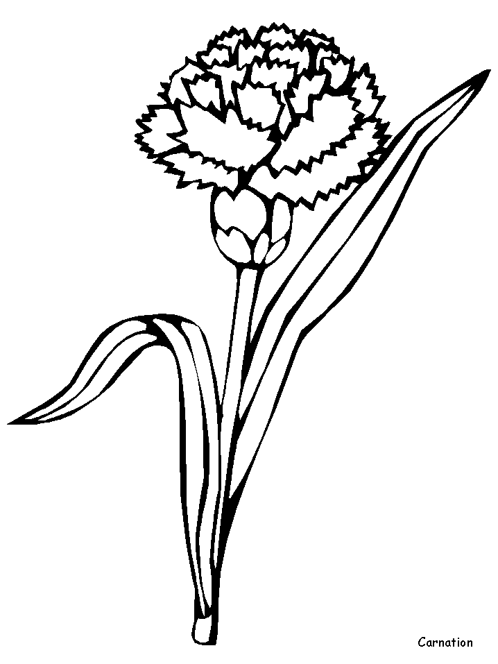 Coloring page flowers nature â printable coloring pages