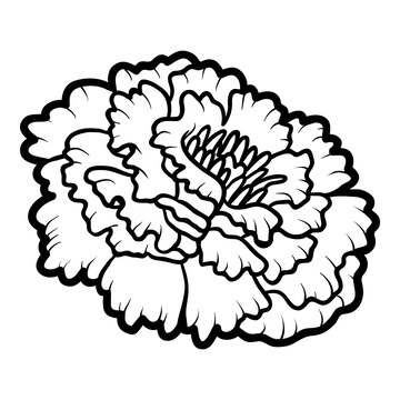 Premium vector coloring book for children flower marigold