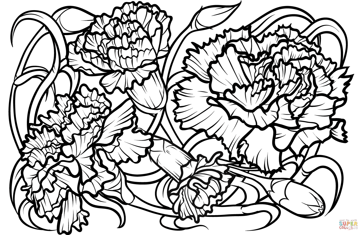 Carnation coloring page free printable coloring pages