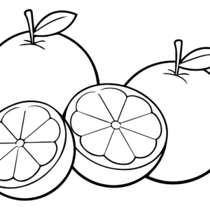 Oranges coloring pages printable for free download