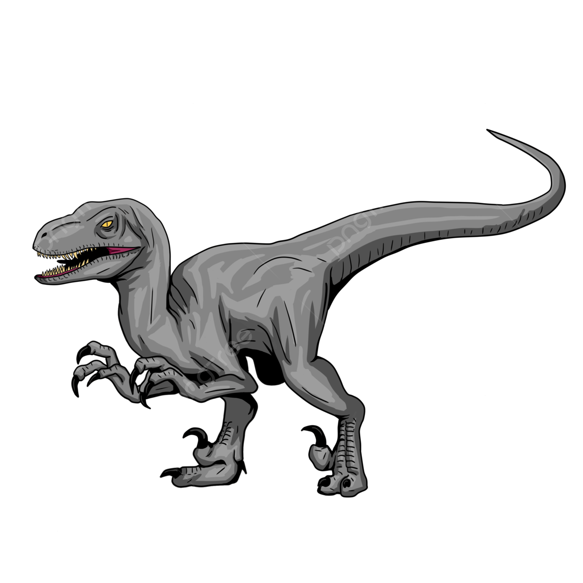 Raptor dinosaur png transparent images free download vector files