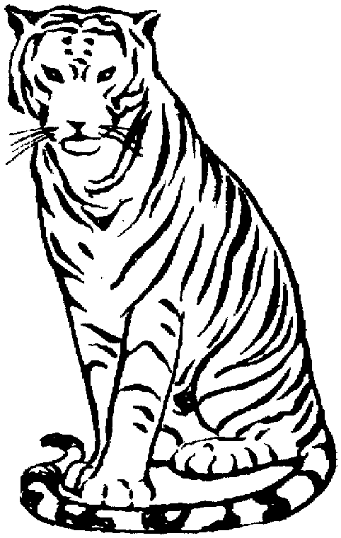 Dibujos de tigre animales para colorear y pintar â pãginas para imprimir y colorear