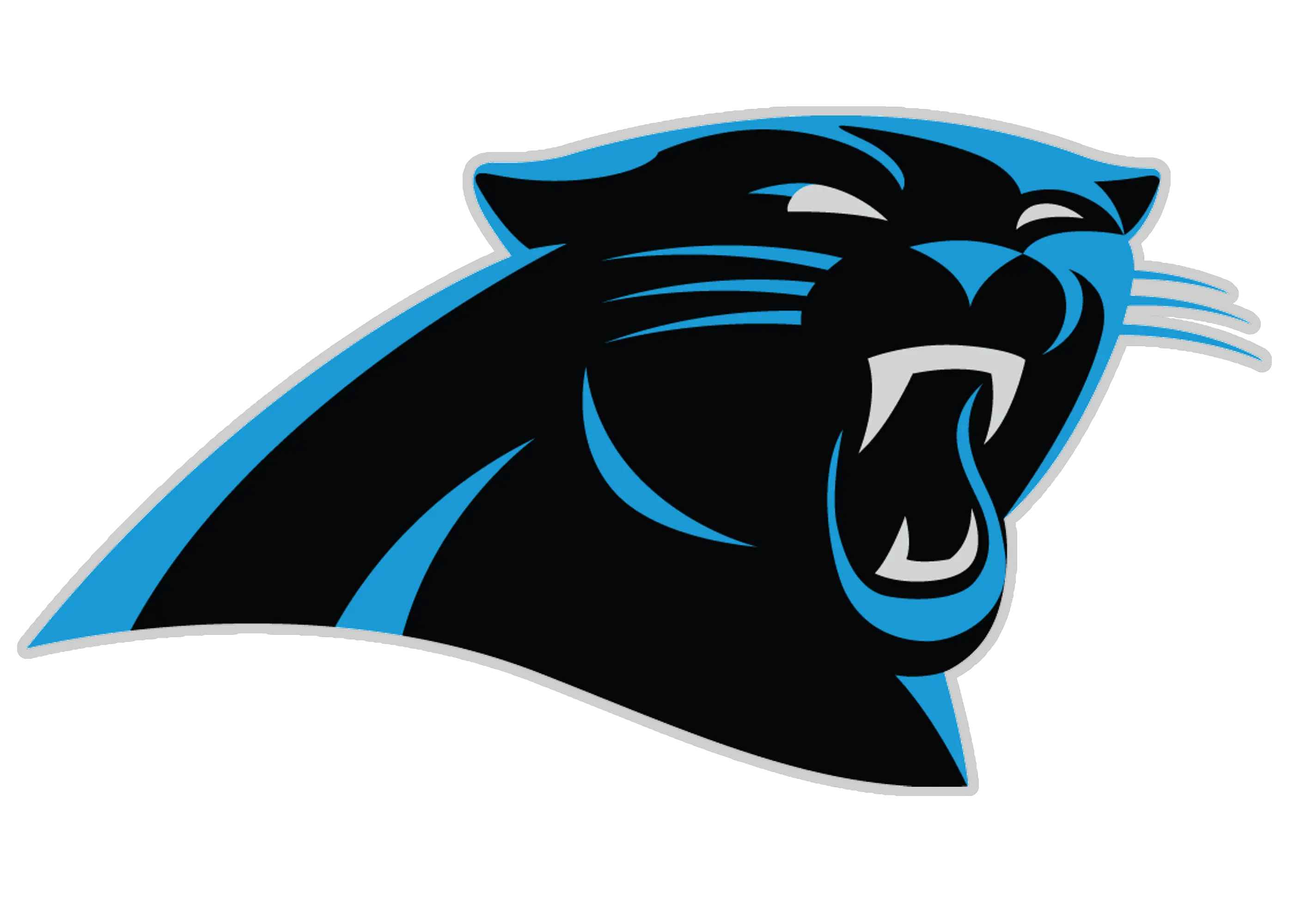 Carolina panthers team page