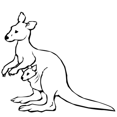 Coloring pages kangaroo coloring pages