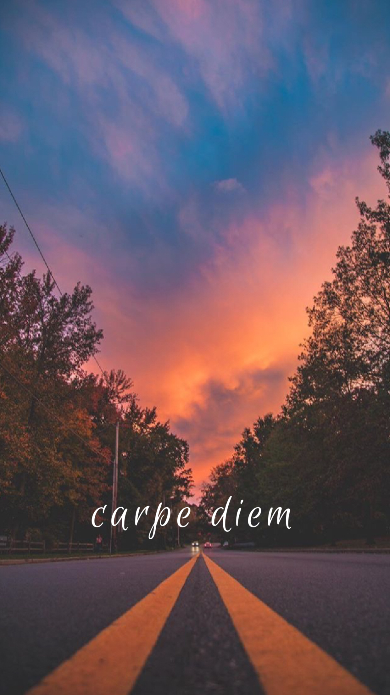 Carpe diem wallpaper ððñððñðºððµ ñðñðññ ðððððñðµ ðð