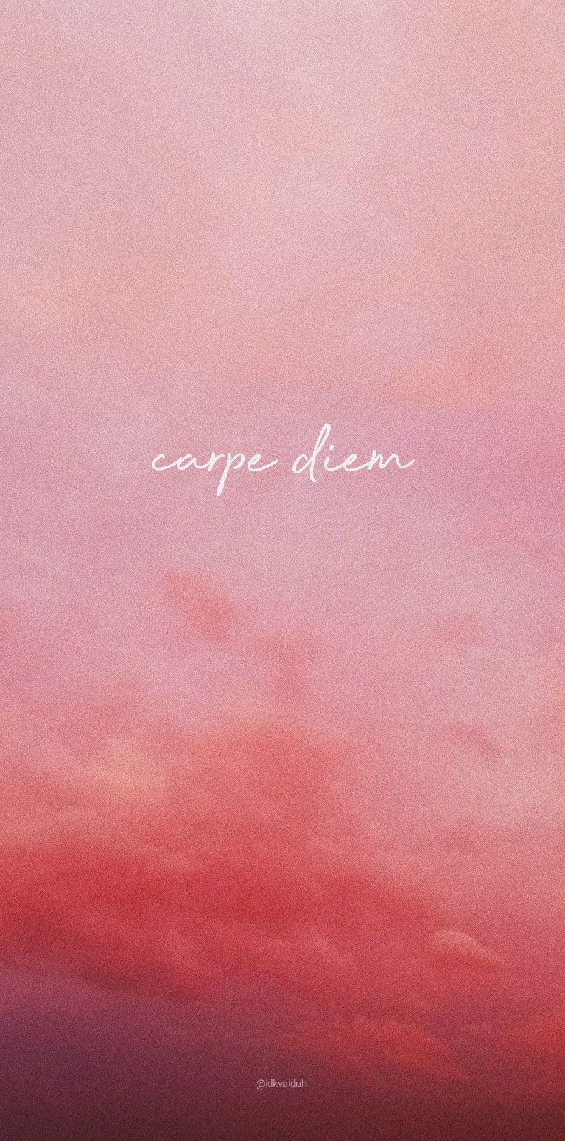 Lockscreen carpediem aesthetic pinkaesthetic lockscreeniphone wallpaper pinklockscreen softaesthetiâ carpe diem pop art wallpaper iphone wallpaper girly