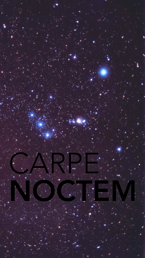 Carpe noctem iphone wallpaper createdbyme samsung wallpaper trendy wallpaper iphone wallpaper vintage