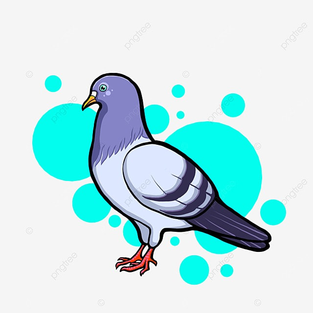 Cartoon pigeon clipart vector cartoon hand painted birds and pigeons cartoon decorative pattern hand draw png image for free download