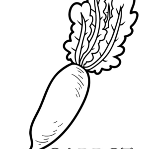 Carrot coloring pages printable for free download