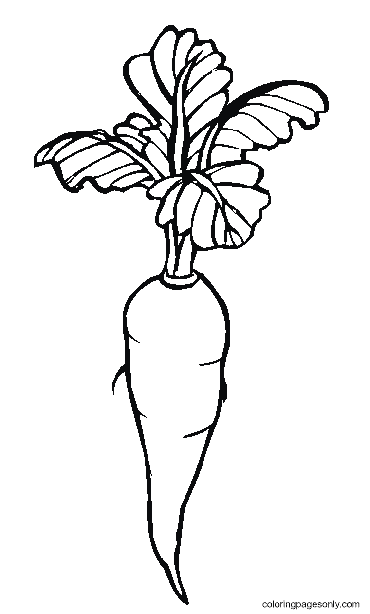 Carrot coloring pages