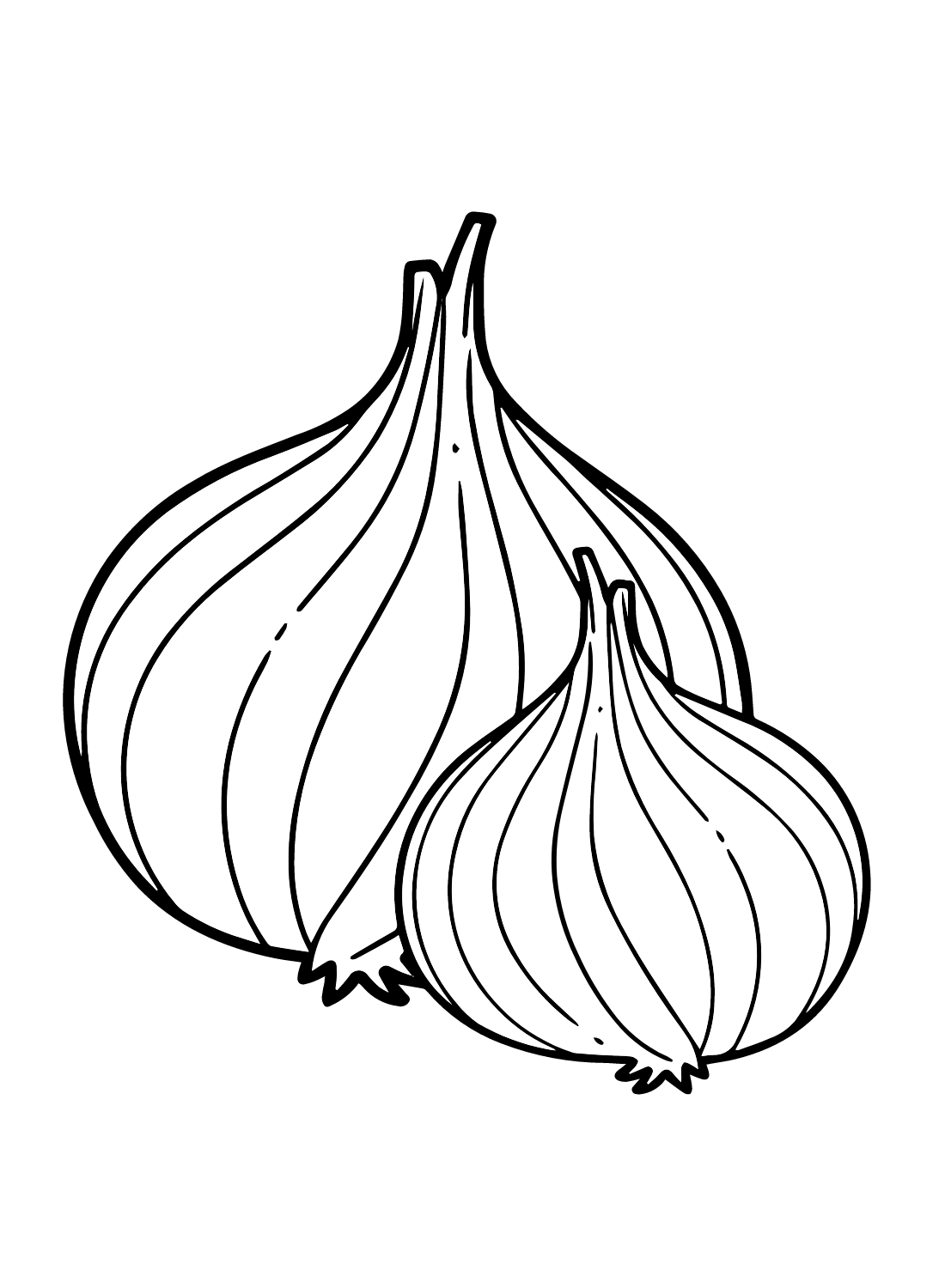 Onion coloring pages onion pictures coloring pages free printable coloring pages