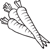 Carrots coloring pages free coloring pages