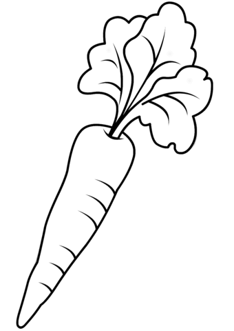 Cool coloriage carotte frutas para colorir pãginas de colorir animais cenoura desenho