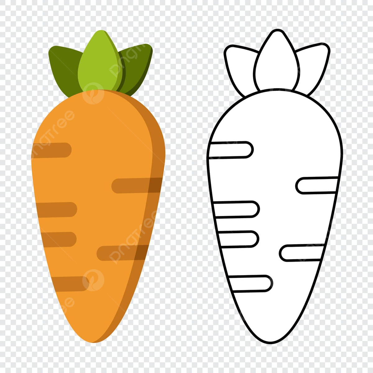 Carrot coloring book png transparent images free download vector files