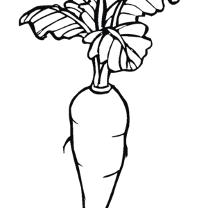 Carrot coloring pages printable for free download