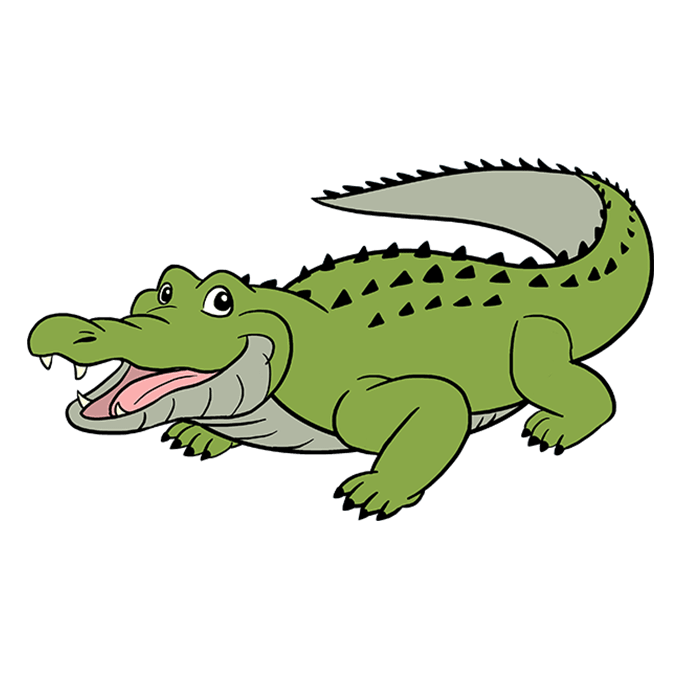 How to draw an alligator