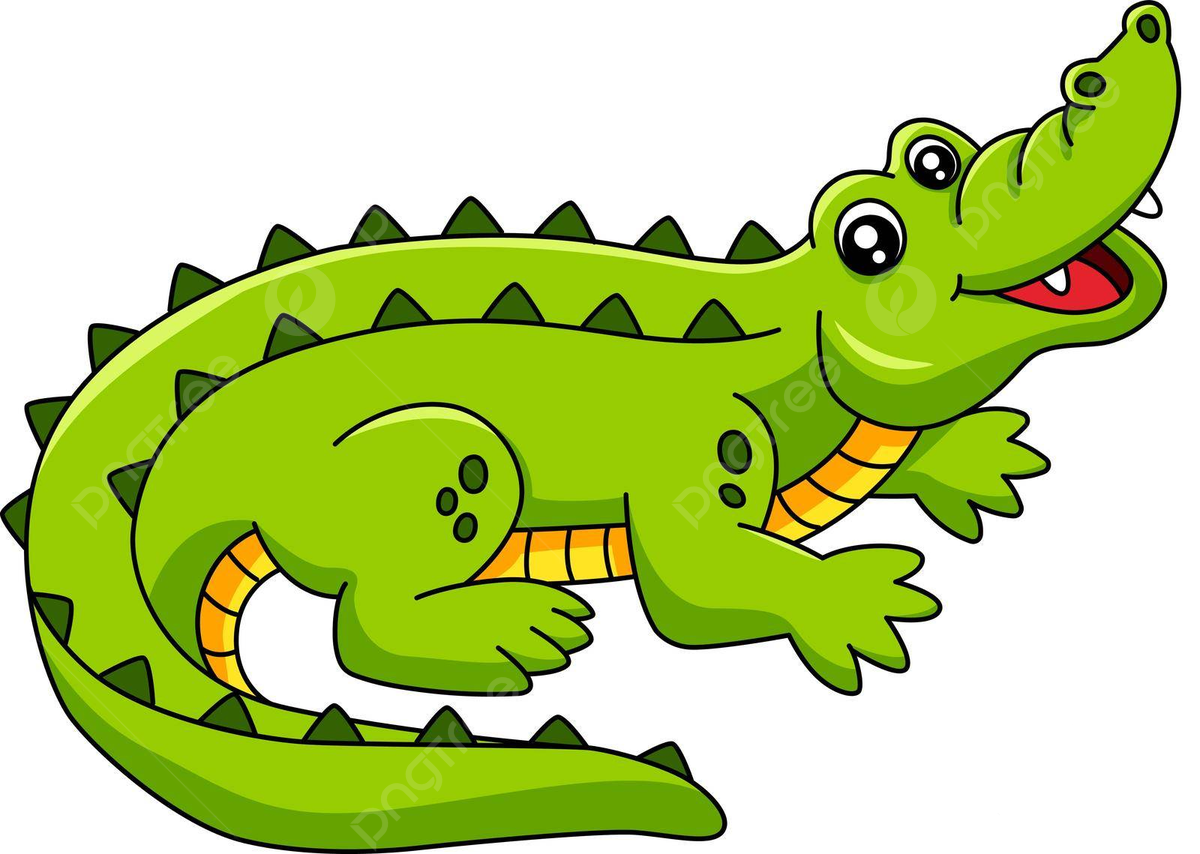 Alligators coloring page png transparent images free download vector files