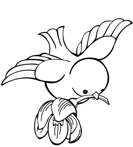 Bird carrying flower coloring page free printable coloring pages