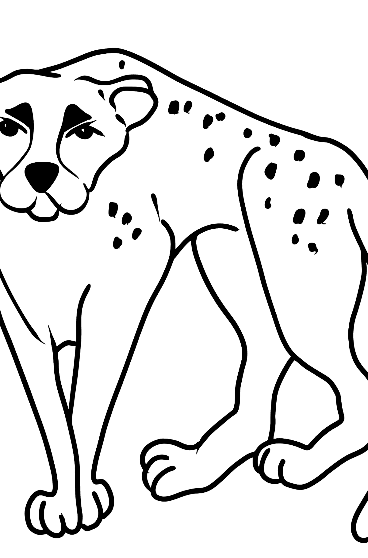 Cheetah coloring page â color online for free