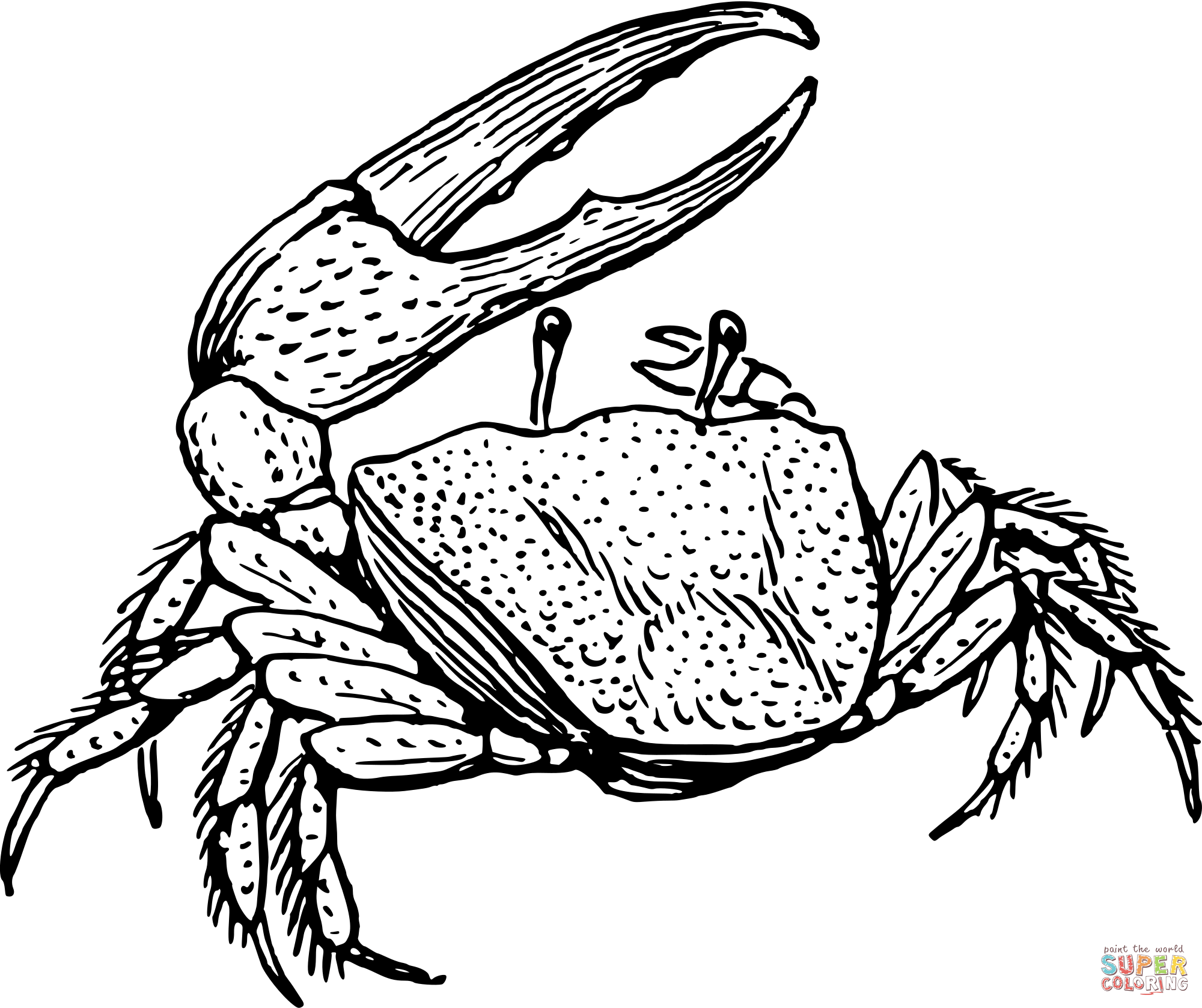 Vintage fiddler crab coloring page free printable coloring pages