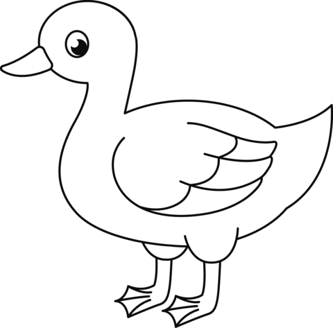 Cute duck coloring page free printable coloring pages