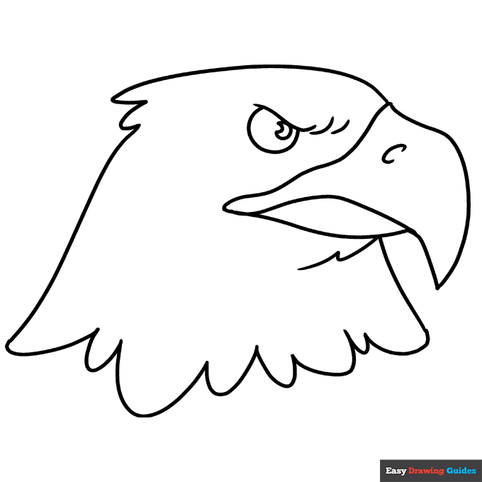 Eagle head coloring page easy drawing guides