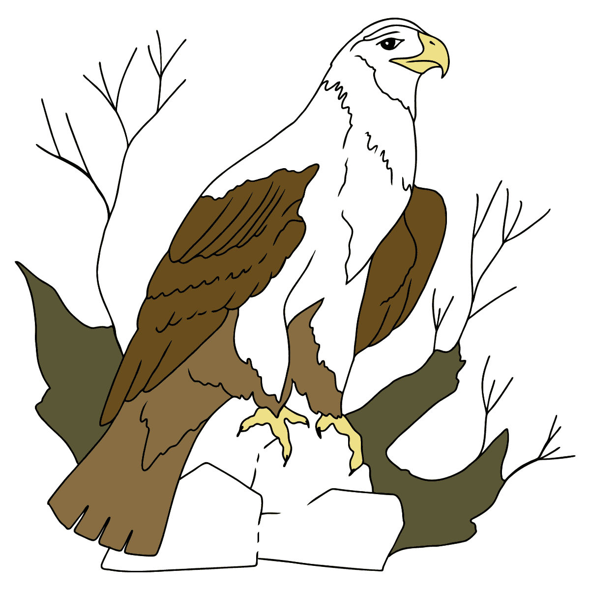 Coloring page