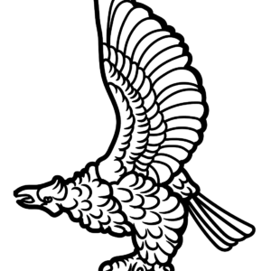 Falcon coloring pages printable for free download