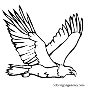 Eagle coloring pages printable for free download