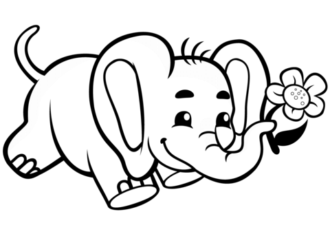 Cute baby elephant with flower coloring page free printable coloring pages