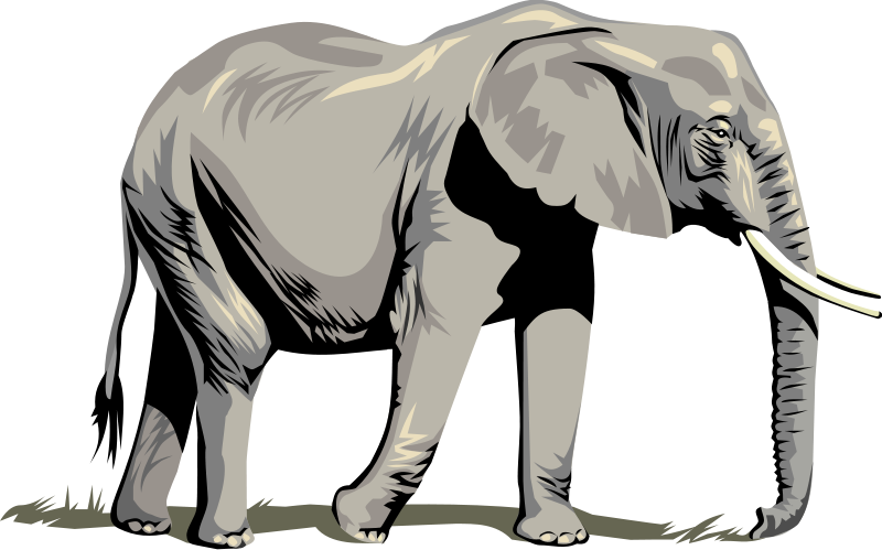 Elephant free svg download vector