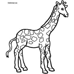 Coloring pages giraffe