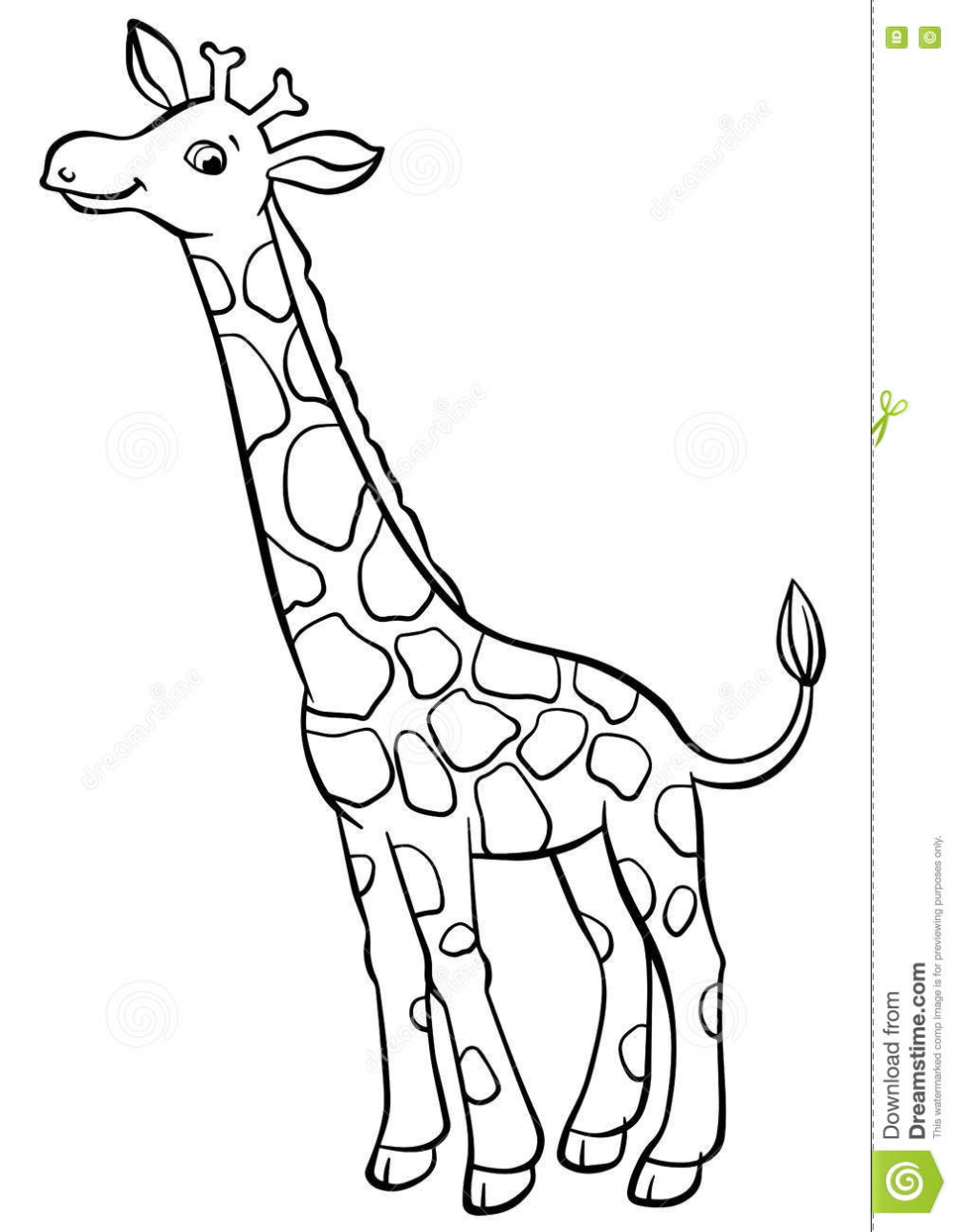 Illustration about coloring pages animals little cute giraffe stands and smiles illustration of câ giraffe coloring pages giraffe colors giraffe illustration