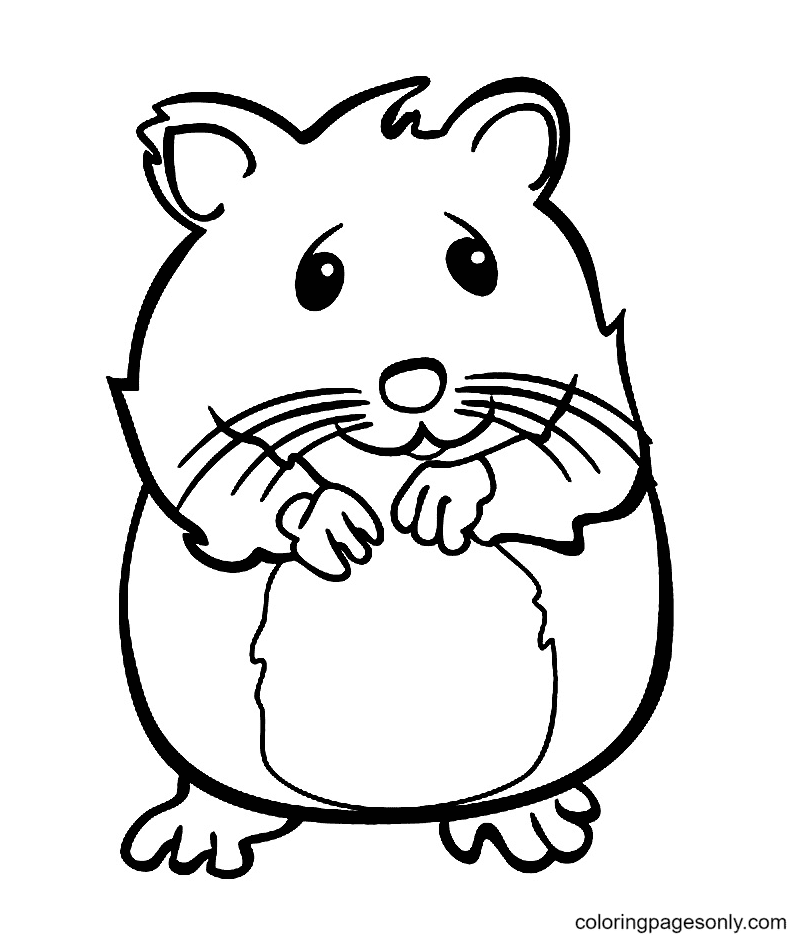 Hamster coloring pages printable for free download