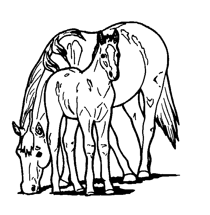 Free printable horse coloring pages for kids